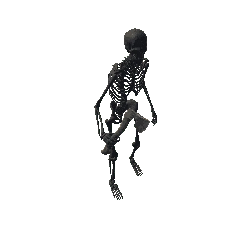 Skeleton 4